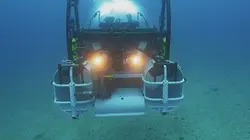 Plongée dans le grand bleu