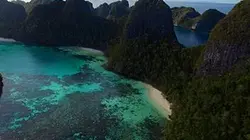 Visuel de Plongée dans le grand bleu
