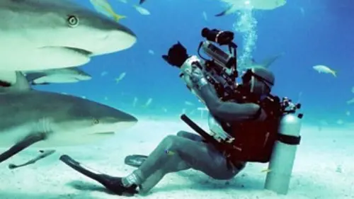 Plongées en eaux troubles