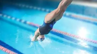 Plongeon