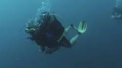 Plonger pour guérir