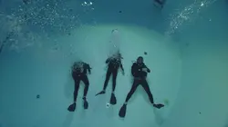 Plonger pour guérir