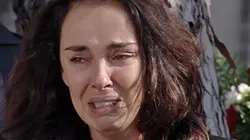 Plus belle la vie, la collec' S11E2632