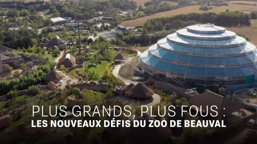 Plus grands, plus fous : les nouveaux défis du zoo de Beauval