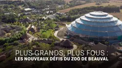 Sur M6 à 23h00 : Plus grands, plus fous : les nouveaux défis du zoo de Beauval