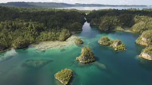 + ou - 5 mètres Protéger la mangrove