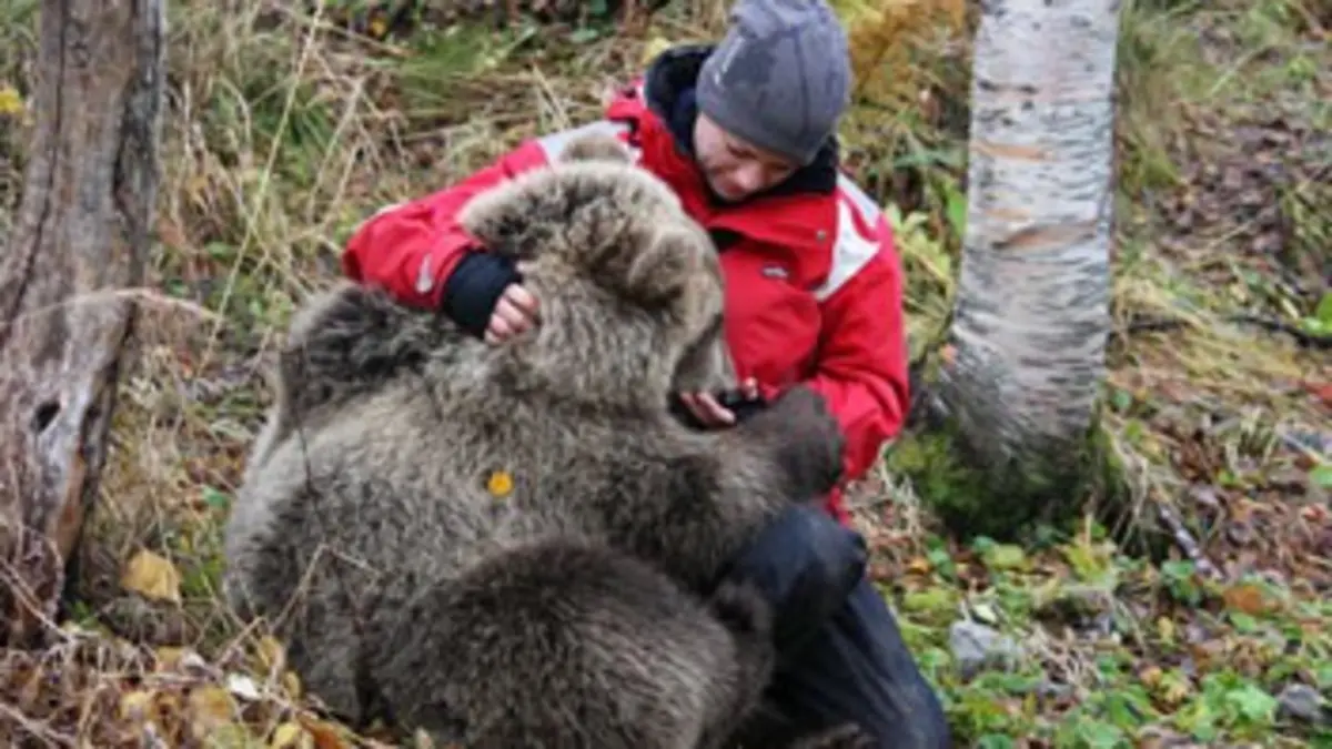Poivre et Sel, deux oursons en Arctique E03 En juillet