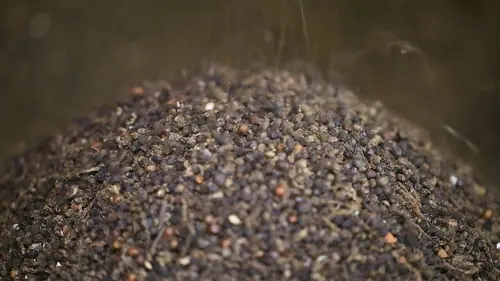 Poivre, les secrets de la perle noire