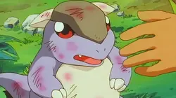Sur MCM à 21h00 : Pokémon