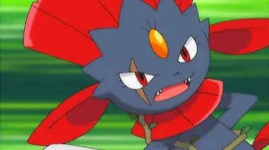 Pokémon Advanced S09E40 Duel dans la forêt