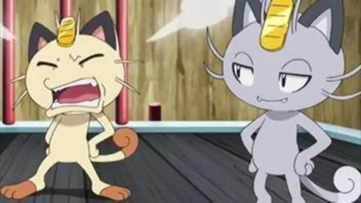 Pokémon : Faites équipe avec Miaouss