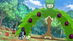 Visuel de Pokémon : Les Horizons