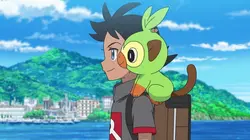 Pokémon, les voyages S25E35 Un combat sans limites !