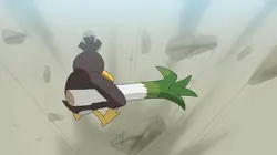 Pokémon, les voyages  S24E03 Les défis du Maître en herbe !