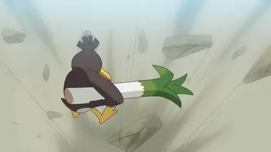 Les défis du Maître en herbe !