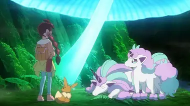 Les contes merveilleux de la Forêt de Lumirinth !