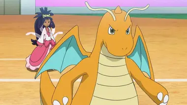 Le flamboyant parcours d'un Maître Pokémon !
