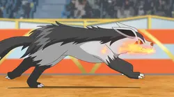 Pokémon, les voyages  S23E01 Un Pichu solitaire !