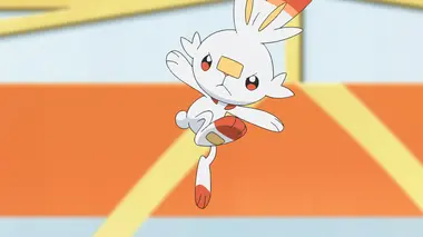 Le chemin le plus fréquenté !