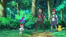 Pokémon, les voyages  S23E06 Tous les Pokémon... sauf Mew !