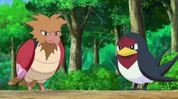 Pokémon, les voyages S23E23 Panique au parc !