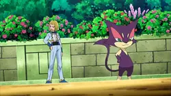 Pokémon: Noir et Blanc S15E32 Le duel des connaisseurs ! en streaming