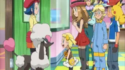 Pokémon : XY S17E08 Un toiletteur pour Couafarel ! en streaming