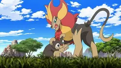 Pokémon : XY