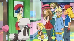 Pokémon : XY  S17E08 Un toiletteur pour Couafarel !