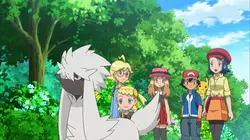 Pokémon : XY  S17E08 Un toiletteur pour Couafarel !