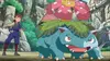 Pokémon : XY S18E36 Une branche trop précieuse ! (2015)