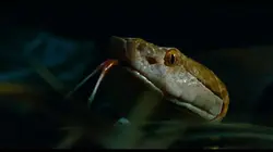 Pole to Pole avec Will Smith Dans les profondeurs de l'Amazonie