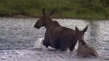 L'alcool coule à flots