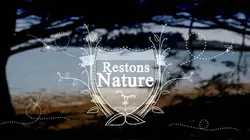 Restons nature Vaches marines