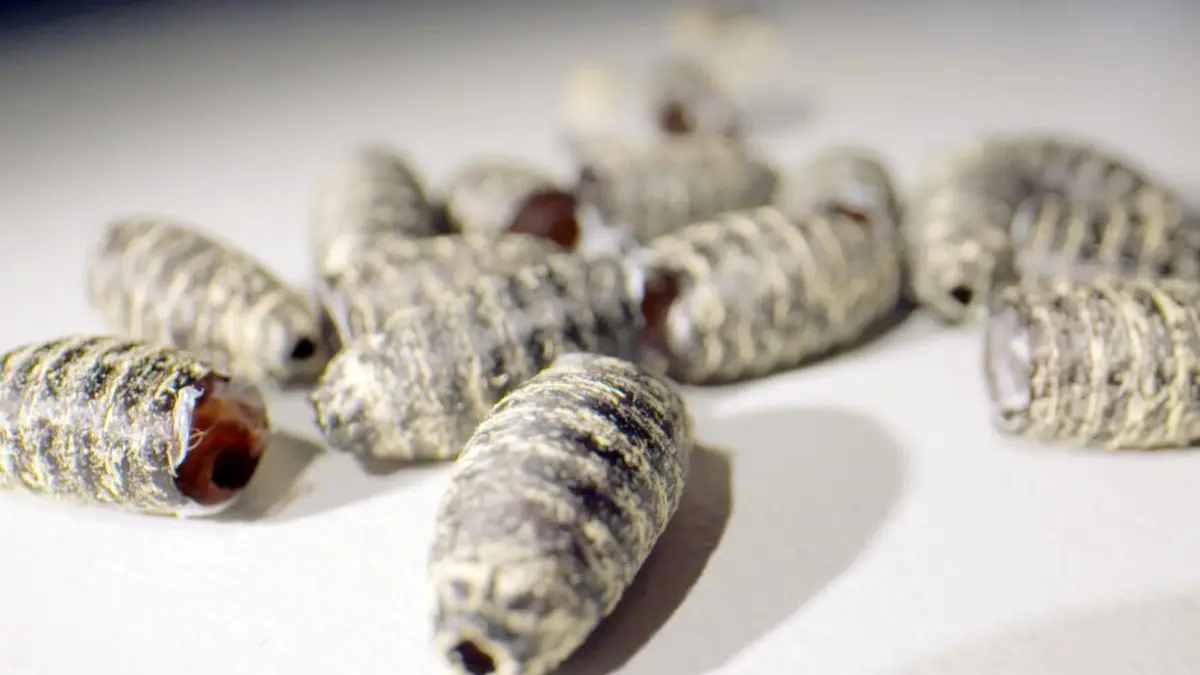 Police scientifique, les dernières méthodes