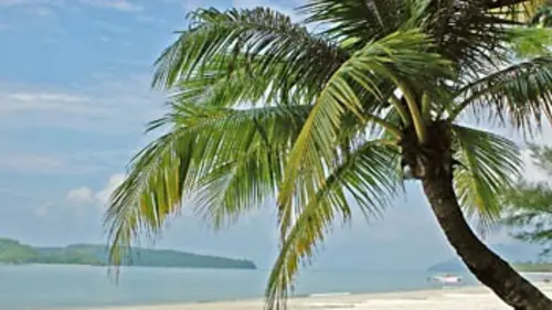 Policiers et gendarmes : alerte en Guadeloupe