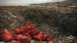 Polluting Paradise en streaming