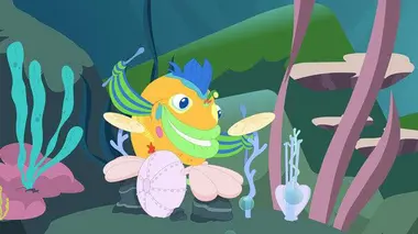 Ça déménage avec Polly !