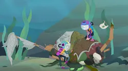 Polly Pocket S03E17 Le grand bal