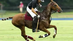 Visuel de Polo Championnat d'Europe 2018