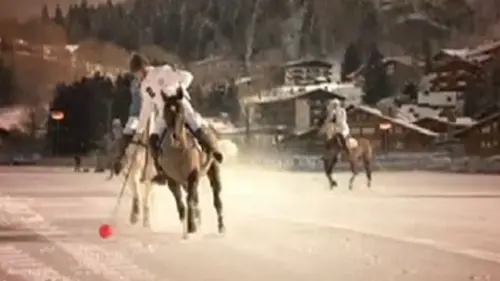 Polo : des champions au sommet