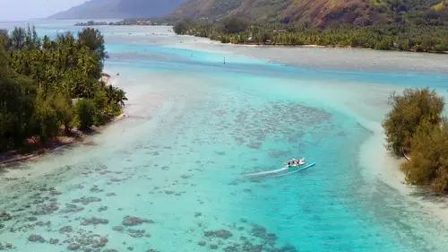 Polynésie française, le tourisme du monde d'après