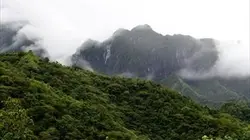 Visuel de Polynésie, la quête des origines