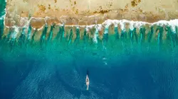 Polynésie : la quête des profondeurs