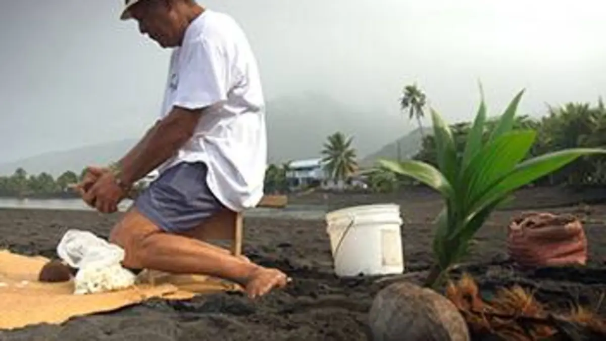 Polynésie : sur les traces du «Nordby»