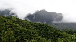 Polynésie, une quête des origines