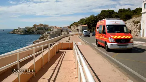 Pompiers : leur vie en direct Dans l'enfer des flammes