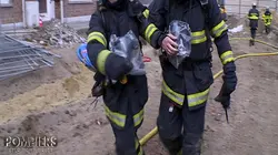 Pompiers : leur vie en direct Les soldats du quotidien