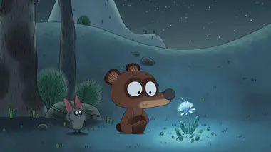 La belle de nuit