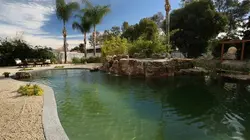 Pool Master S01E07 Le jardin aquatique japonais